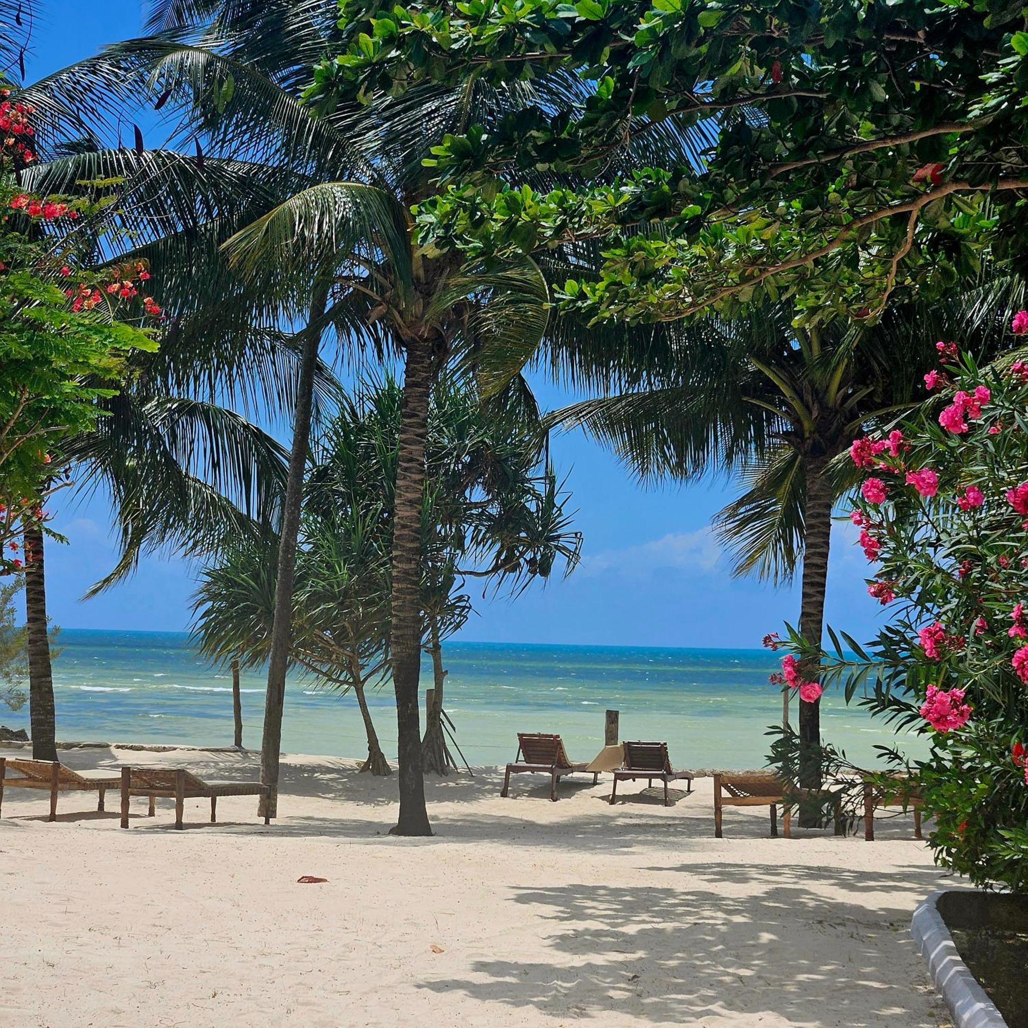 Maharaja Boutique Hotel Zanzibar ウロア エクステリア 写真